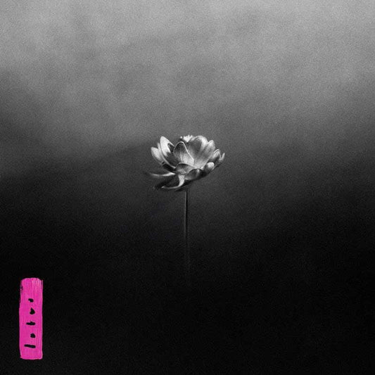 Little Simz - Lotus | 2LP Color Electric Pink