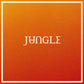 Jungle - Volcano | LP Splatter